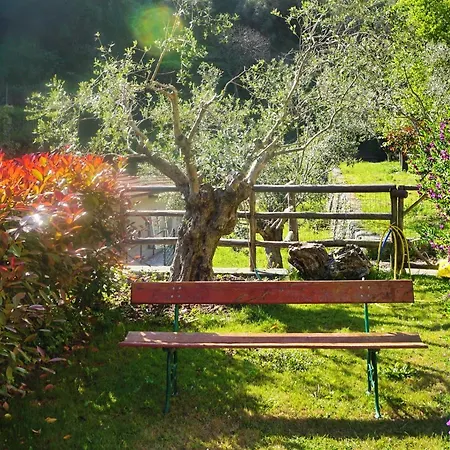 住宿加早餐酒店 L'allegra Brigata 菲纳莱利古雷