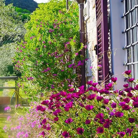 L'allegra Brigata 菲纳莱利古雷