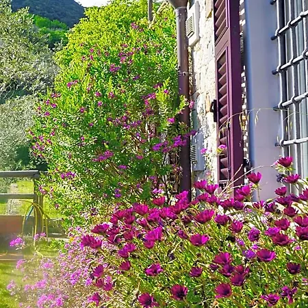 Bed & Breakfast L'allegra Brigata Finale Ligure